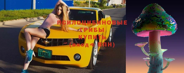 винт Елизово
