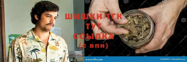винт Елизово