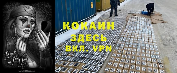 винт Елизово